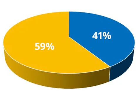 pie chart