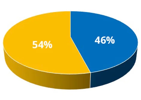 pie chart